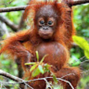 Meet your Posher, Jaime